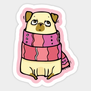 I love Pugs in scarf Sticker